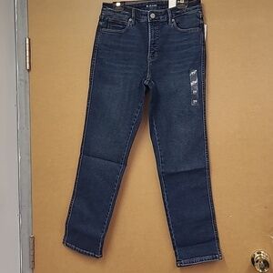 Reitmans Size 29P Dark Wash High Rise Slim Fit R Jeans